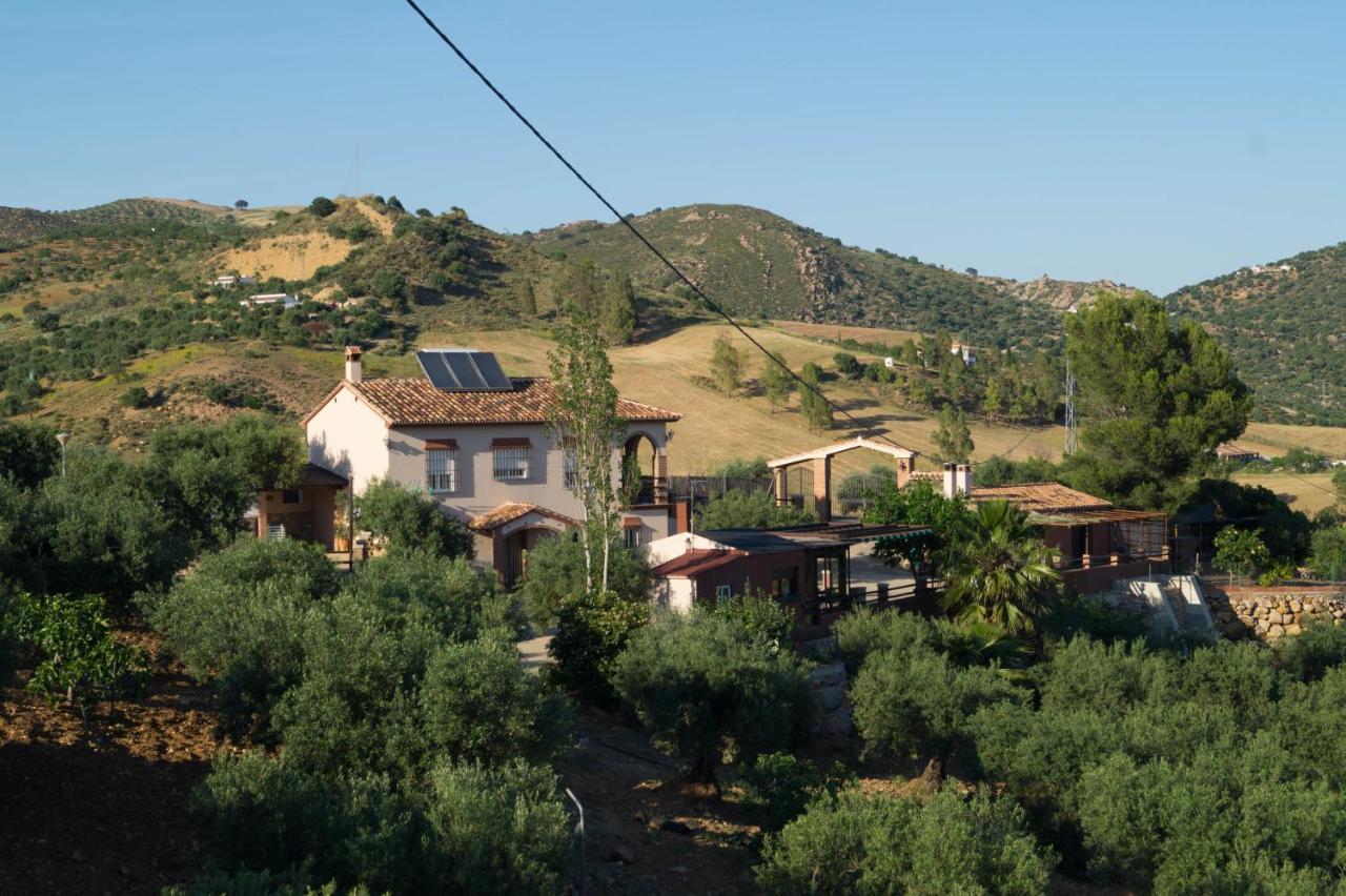 Casa Los Olivos Alora - Caminito Del Rey ภายนอก รูปภาพ