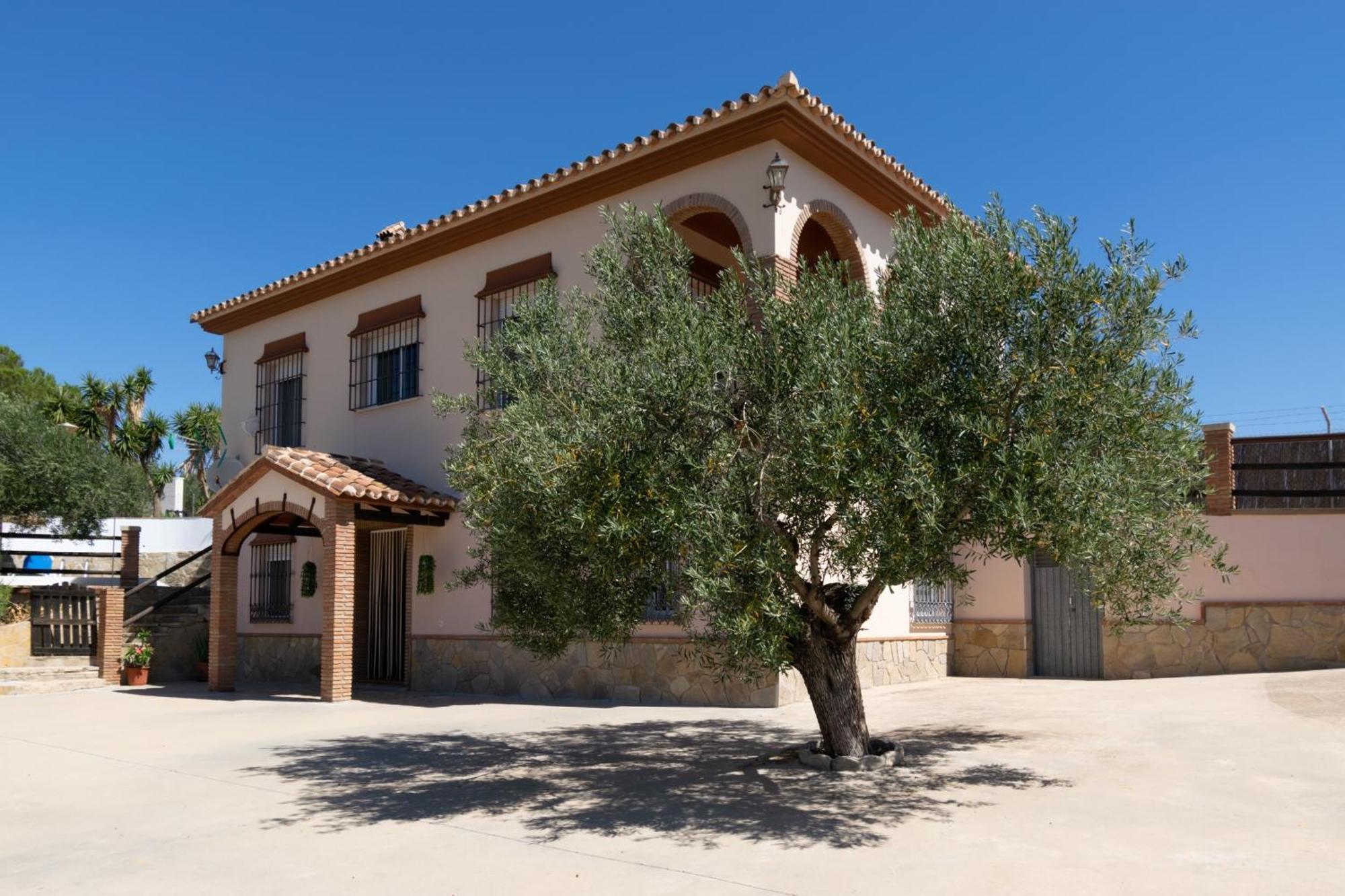 Casa Los Olivos Alora - Caminito Del Rey ภายนอก รูปภาพ